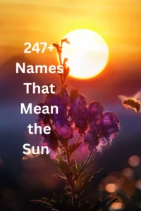dog-names-that-mean-sun