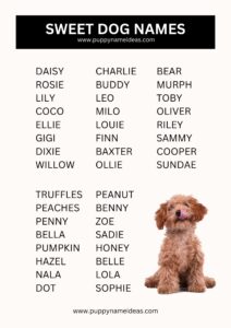 Dog Names That Mean Sweet dog-names-that-mean-sweet