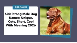 Short Strong Male Dog Names short-strong-male-dog-names