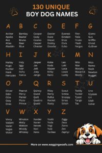 small-breed-male-dog-names